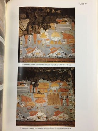 Die Wanddarstellungen im Grab des Mehu in Saqqara[newline]M6545-17.jpg