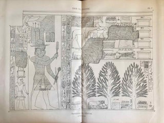 Deir-el-Bahari. Documents topographiques, historiques et ethnographiques recueillis dans ce temple.[newline]M6791-055.jpg