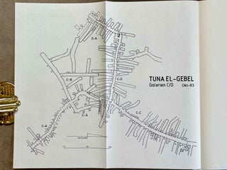 Tuna el-Gebel I: die Tiergalerien[newline]M6802b-08.jpeg
