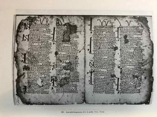 Studia Aegyptiaca XIII (1991). A. I. Elanskaya, Coptic Literary Texts of the Pushkin State Fine Arts Museum in Moscow.[newline]M6816-07.jpg