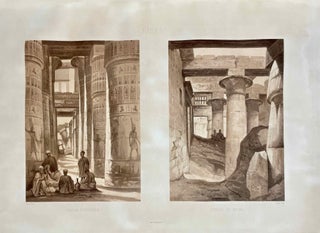 Panorama d'Egypte et de Nubie, avec un portrait de Mehemet-Ali et un texte orné de vignettes[newline]M6899b-04.jpeg