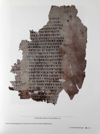 Le canon 8 de Chénouté. Vol. I: Introduction, édition critique. Vol. II: Traduction, index, planches (complete set)