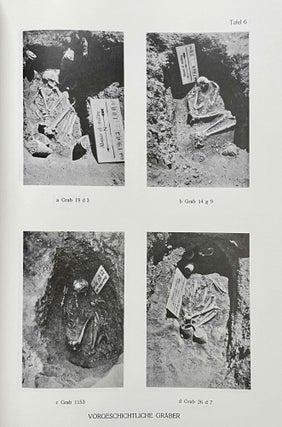 Die archaeologischen Ergebnisse des vorgeschichtlichen Gräberfeldes von Abusir el-Meleq[newline]M6909b-13.jpeg