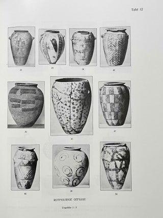 Die archaeologischen Ergebnisse des vorgeschichtlichen Gräberfeldes von Abusir el-Meleq[newline]M6909b-15.jpeg