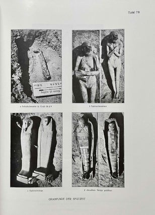 Die archaeologischen Ergebnisse des vorgeschichtlichen Gräberfeldes von Abusir el-Meleq[newline]M6909b-20.jpeg