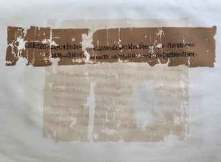 Select Papyri in the Hieratic Character from the Collections of the British Museum (volume I). Part 1: Sallier Papyri No. 1, 2 & 3. Part 2: Anastasi Papyri No. 1, 2, 3, 4. Part 3: Anastasi Papyri No. 5, 6, 7, 8, 9 and Sallier No. 4. Volume II: Papyrus Abbott and d'Orbiney (complete set)[newline]M6986-07.jpg