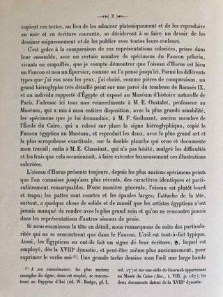 Horus le Faucon