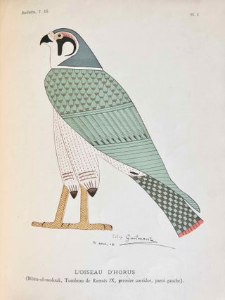Horus le Faucon