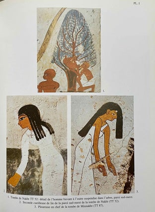 Item #M7068b La peinture égyptienne ancienne. Un monde de signes à préserver. TEFNIN Roland,...
