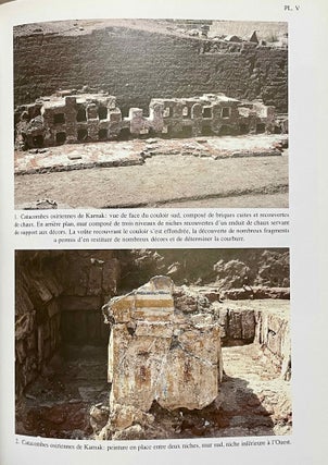 La peinture égyptienne ancienne. Un monde de signes à préserver.