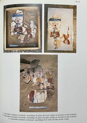 La peinture égyptienne ancienne. Un monde de signes à préserver.[newline]M7068b-10.jpeg