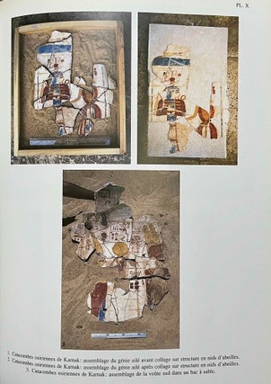 La peinture égyptienne ancienne. Un monde de signes à préserver.