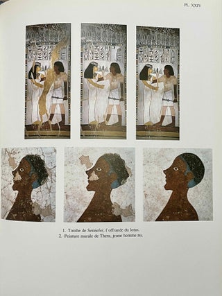 La peinture égyptienne ancienne. Un monde de signes à préserver.