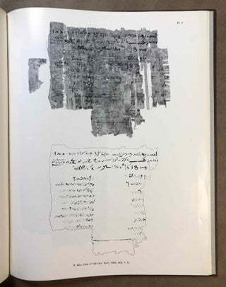 Papyrus démotiques de Lille (III)[newline]M7088-09.jpg