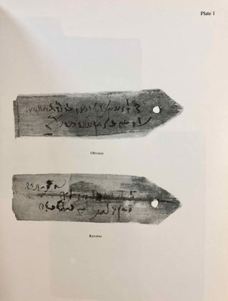 Catalog of Demotic Texts in the Brooklyn Museum[newline]M7089-07.jpg