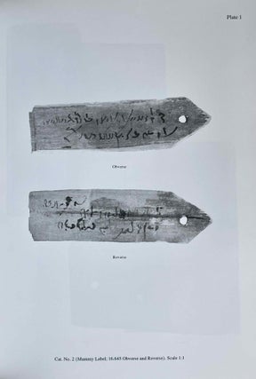 Catalog of Demotic Texts in the Brooklyn Museum[newline]M7089a-07.jpeg
