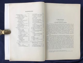 Jericho. Die Ergebnisse der Ausgrabungen.