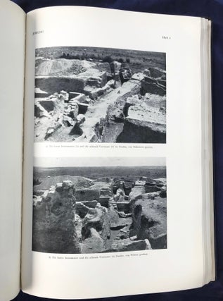 Jericho. Die Ergebnisse der Ausgrabungen.