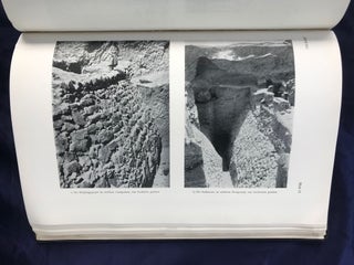 Jericho. Die Ergebnisse der Ausgrabungen.