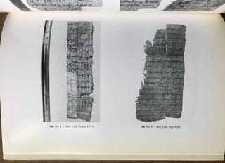 The Petrie papyri 2nd edition (P. Petrie2). Vol. 1: The Wills.[newline]M7119-07.jpg