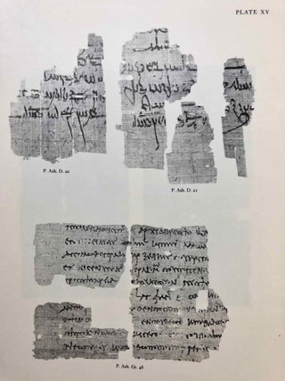 Catalogue of Demotic Papyri in the Ashmolean Museum. Vol. 1: Embalmers' archives from Hawara. Incl. Greek documents and subscriptions.[newline]M7130-23.jpg