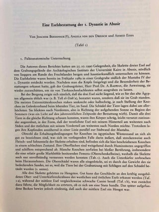 Mitteilungen des Deutschen Archäologischen Instituts Abteilung Kairo (MDAIK). Band 48 (1992).[newline]M7134-04.jpg