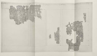 From the contents of the libraries of the Suchos temples in the Fayyum. Part I: A medical book from Crocodilopolis: P. Vindob. D. 6257