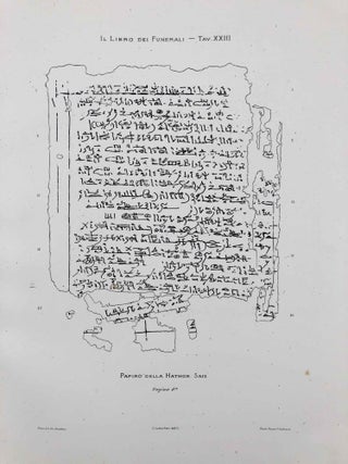 Il libro dei funerali degli antichi Egiziani. Tavole 2: Il papiro della Hathor Sais[newline]M7155-04.jpg