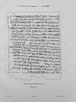 Il libro dei funerali degli antichi Egiziani. Tavole 2: Il papiro della Hathor Sais[newline]M7155-05.jpg