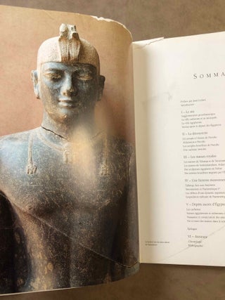 Des pharaons venus d'Afrique