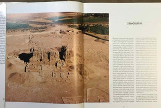 Des pharaons venus d'Afrique