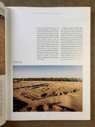 Des pharaons venus d'Afrique