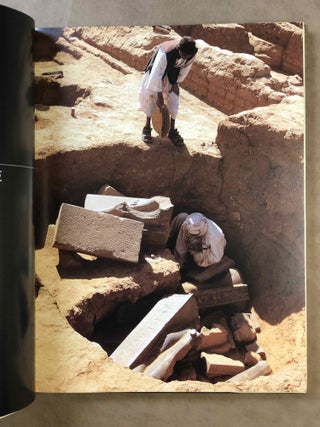 Des pharaons venus d'Afrique