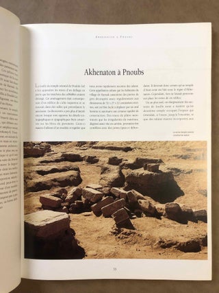 Des pharaons venus d'Afrique