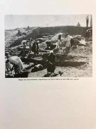 Tell el-Dab'a II: Der Fundort im Rahmen einer arch&auml;ologisch-geographischen Untersuchung &uuml;ber das &auml;gyptische Ostdelta. Main volume + Plans (complete in itself)[newline]M7189-02.jpg