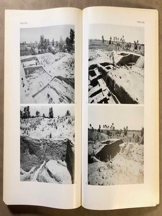 Tell el-Dab'a II: Der Fundort im Rahmen einer arch&auml;ologisch-geographischen Untersuchung &uuml;ber das &auml;gyptische Ostdelta. Main volume + Plans (complete in itself)[newline]M7189-11.jpg