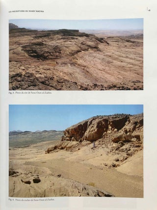 La zone minière pharaonique du Sud-Sinaï - II: Les inscriptions pré- et protodynastiques du Ouadi 'Ameyra (CCIS nos 273-335)[newline]M7200-11.jpg