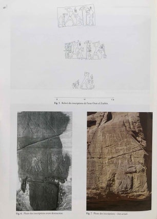 La zone minière pharaonique du Sud-Sinaï - II: Les inscriptions pré- et protodynastiques du Ouadi 'Ameyra (CCIS nos 273-335)[newline]M7200-12.jpg