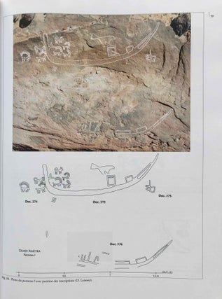 La zone minière pharaonique du Sud-Sinaï - II: Les inscriptions pré- et protodynastiques du Ouadi 'Ameyra (CCIS nos 273-335)[newline]M7200-13.jpg