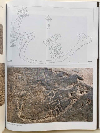 La zone minière pharaonique du Sud-Sinaï - II: Les inscriptions pré- et protodynastiques du Ouadi 'Ameyra (CCIS nos 273-335)[newline]M7200-14.jpg