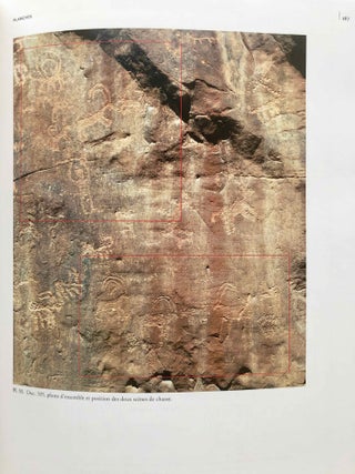 La zone minière pharaonique du Sud-Sinaï - II: Les inscriptions pré- et protodynastiques du Ouadi 'Ameyra (CCIS nos 273-335)[newline]M7200-15.jpg