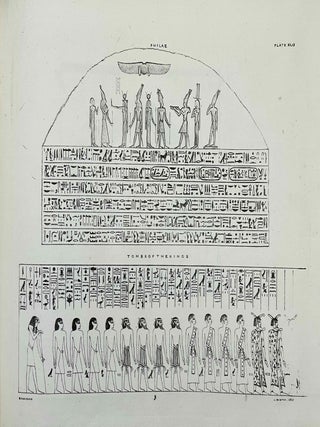 Excerpta hieroglyphica[newline]M7210a-13.jpeg