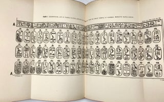 Transactions of the Society of Biblical Archaeology: Volume IX (1893).[newline]M7217a-12.jpg
