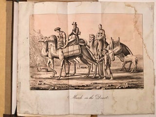 Item #M7241 Travels in Egypt during 1818 and 1819. MONTULE Edouard, de[newline]M7241-000.jpg