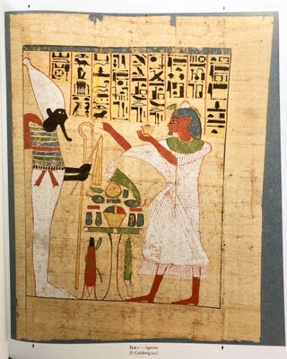 Catalogue of Egyptian Funerary Papyri in Danish Collections. The Carlsberg Papyri, vol. 13.[newline]M7333-06.jpg