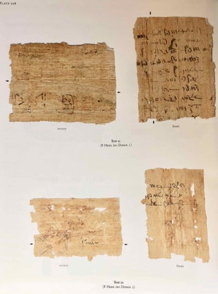 Catalogue of Egyptian Funerary Papyri in Danish Collections. The Carlsberg Papyri, vol. 13.[newline]M7333-09.jpg