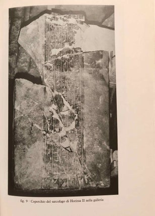 La tomba di Boccori: La galleria di Padineit, visir di Nectanebo I[newline]M7350-09.jpg