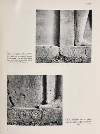 Studies and restorations at Persepolis and other sites of Fars[newline]M7418-11.jpg