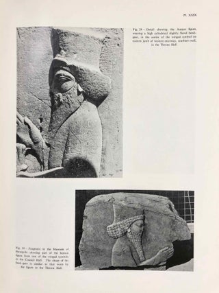Studies and restorations at Persepolis and other sites of Fars[newline]M7418-17.jpg