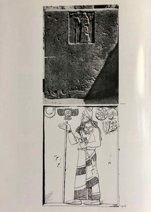 Altvorderasiatische Bildstelen und vergleichbare Felsreliefs. Mit einem Beitrag von Adelheid Shunnar-Misera. Text- und Tafelband (complete set)